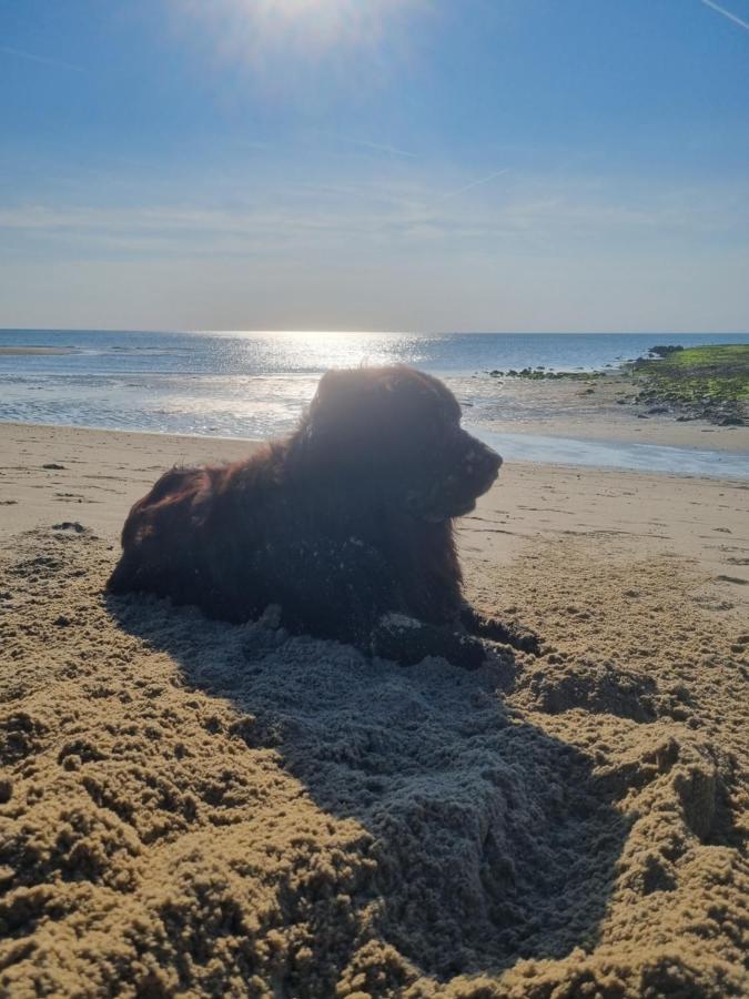Meerblick Wattenmeer ,50M Vom Meer,Strand 300M Westerland ภายนอก รูปภาพ