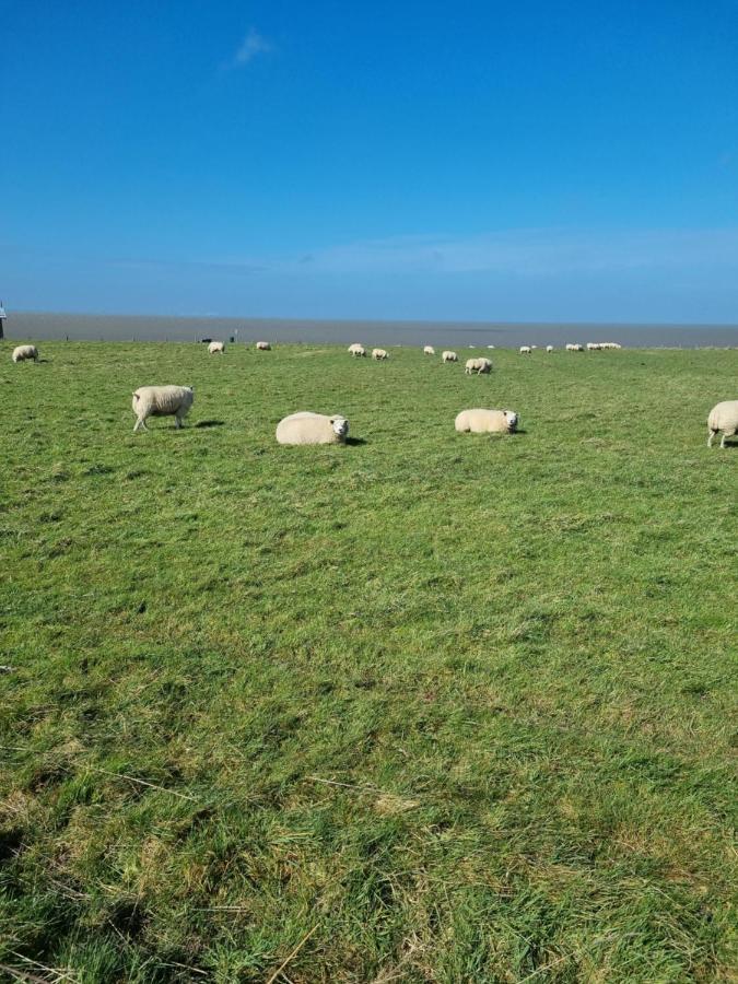 Meerblick Wattenmeer ,50M Vom Meer,Strand 300M Westerland ภายนอก รูปภาพ